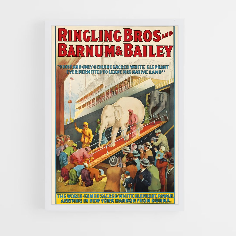 Poster Ringling brothers – affiche Cirque (vue 3)